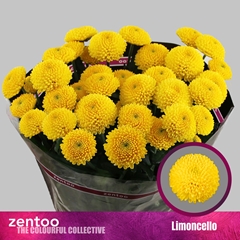 Chr T Limoncello 70cm 75gram