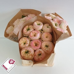 R Gr Pinky Pie! 40cm