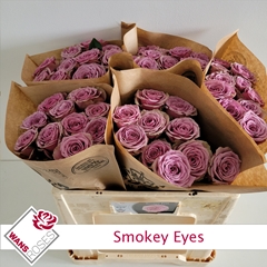 R Gr Smokey Eyes 50cm