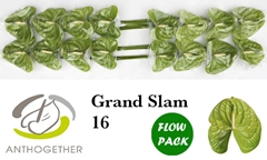 Anth A Grand Slam 11cm Ø