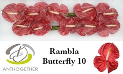 Anth A Rambla 15cm Ø