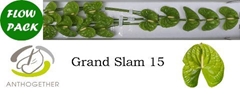 Anth A Grand Slam 7cm Ø