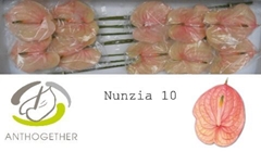 Anth A Nunzia 15cm Ø