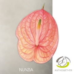 Anth A Nunzia 15cm Ø