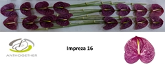 Anth A Impreza 11cm Ø