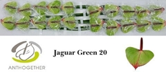 Anth Jaguar Green 9cm Ø
