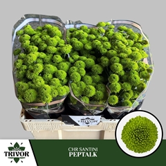 Chr S Aaa Peptalk 55cm 900g