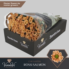 Chr San Rossi Salmon 55cm 110g