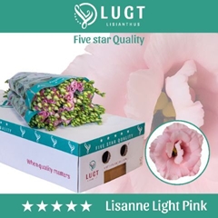 Eus G Lisanne L Pink 70cm
