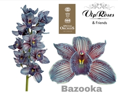 Cymb Dyed Bazooka