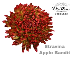 Chr G Stravina Apple Bandit