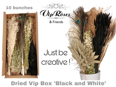 Dried Vip Box Black & White