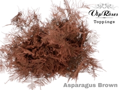 Asp Ov Extra Veren Bruin