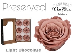 R Preserved Light Chocolate