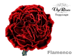 Di St Flamenco