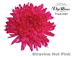 Chr G Stravina Hot Pink