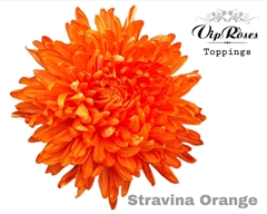 Chr G Stravina Orange