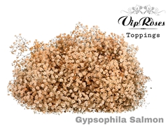 Gyps Pa Salmon