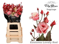 Eust G Alissa Lovely Red