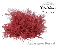 Asp Ov 1E Veren Koraal
