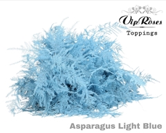 Asp Ov Getopt Lang Light Blue