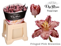 Tu Fr Fringed Pink Brownies