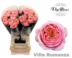 R Gr Villa Romanza