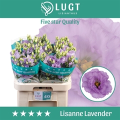 Eus G Lisanne Lavend