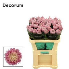 Chr G Couture 70cm 140gram