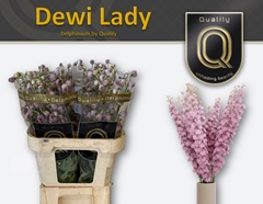 Delph Dewi Lady 80cm 23