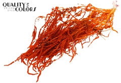 Hang Amar Pres. Orange 80cm
