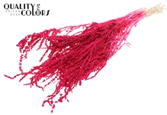 Hang Amar Pres. Cerise 80cm