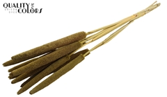 Babala Olive 65cm