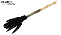 Babala Black 65cm