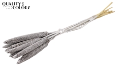 Babala Silver+Glit 65cm