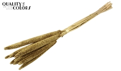 Babala Gold+Glit 65cm