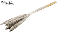 Babala Platina 65cm