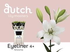 Li Az Eyeliner 90cm 45+