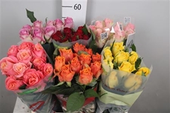 R Gr Mixed In Bucket 60cm