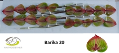 Anth A Barika 9cm Ø