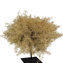 Decorgr Klb Pb 21% 15cm 45gram
