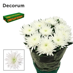 Chr G Topspin 70cm 85gram
