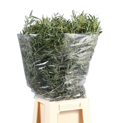 Eucalyptus Blad Bunch 70cm 300gram