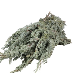 Cupres Sempervirens 5000gram