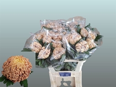 Chr G Vienna Copper 80cm 110gram