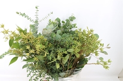 Eucalyptus Blad Bunch 65cm 200gram