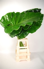 Decor Groen Other 90cm