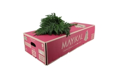 Leatherleaf 55cm