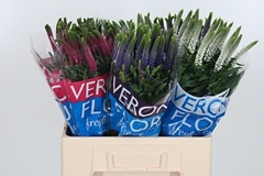 Veron Smart Gem 60cm