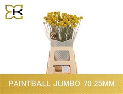 Cras Paintball Jumbo 70cm